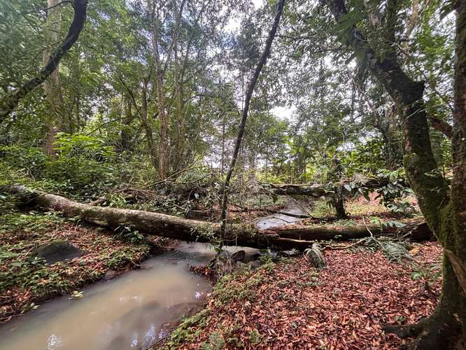  Terreno en venta El Futuro, La Tigra | 2.773 m²  |   - Imagen 4