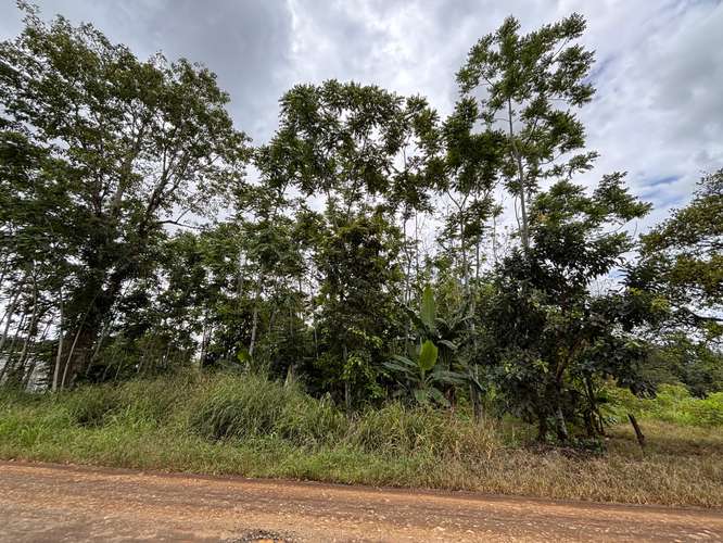  Terreno en venta El Futuro, La Tigra | 2.773 m²  |   - Imagen 13