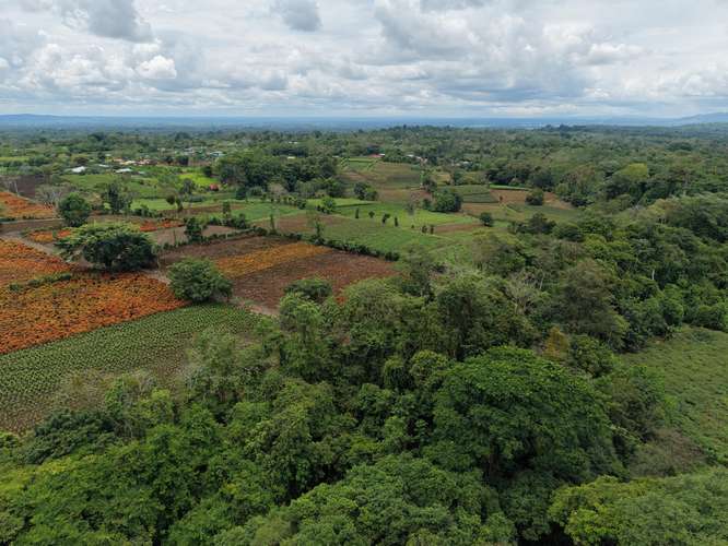  Terreno en venta El Futuro, La Tigra | 2.773 m²  |   - Imagen 17
