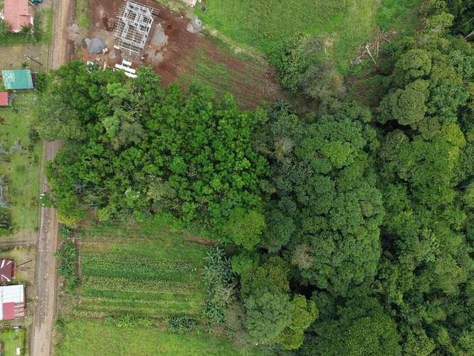  Terreno en venta El Futuro, La Tigra | 2.773 m²  |   - Imagen 15