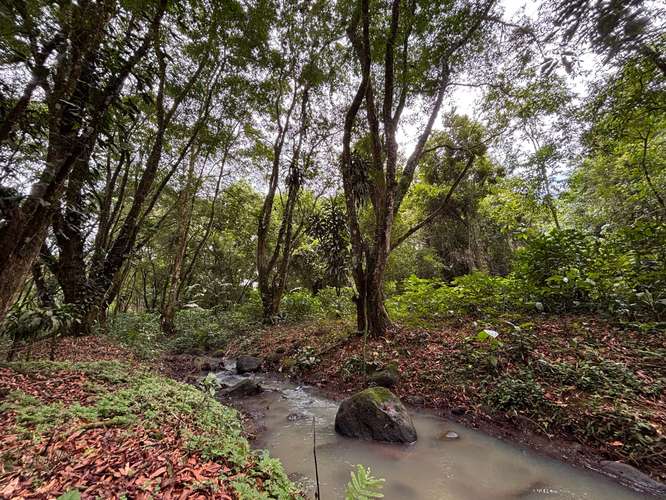  Terreno en venta El Futuro, La Tigra | 2.773 m²  |   - Imagen 2
