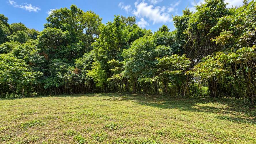 Venta | Terreno con potencial para viviendas de retiro o cohousing | Santa María de Dota