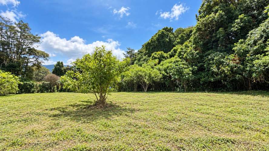 Venta | Terreno con potencial para viviendas de retiro o cohousing | Santa María de Dota