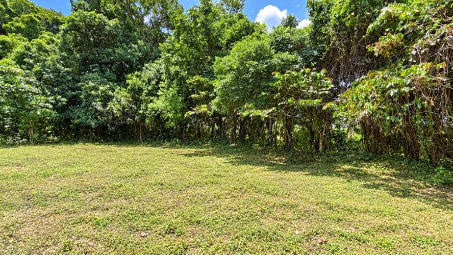 Venta | Terreno con potencial para viviendas de retiro o cohousing | Santa María de Dota