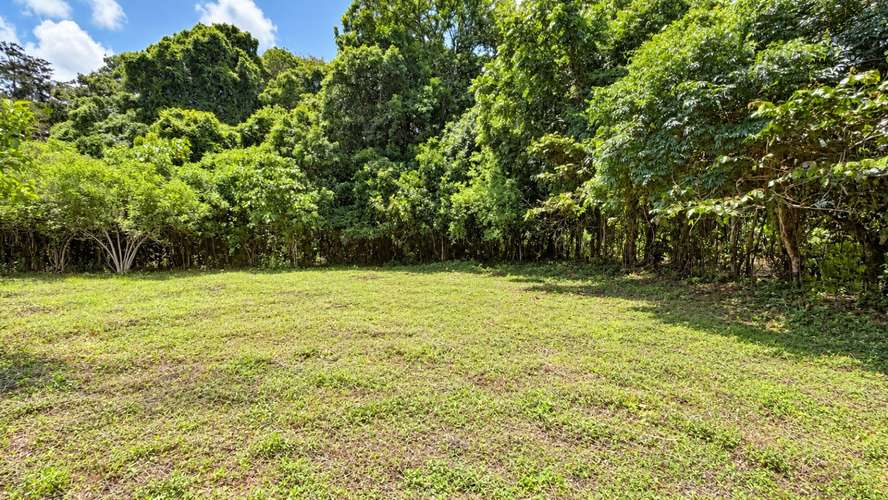 Venta | Terreno con potencial para viviendas de retiro o cohousing | Santa María de Dota