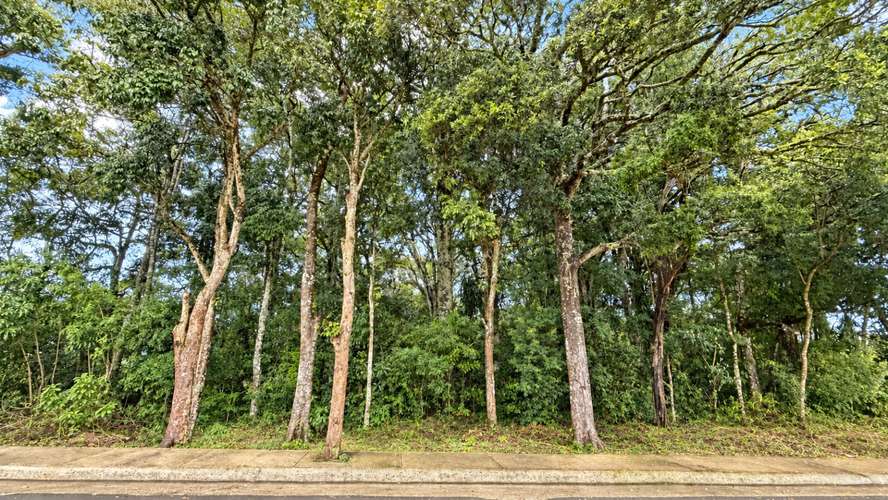 Venta | Terreno con potencial para viviendas de retiro o cohousing | Santa María de Dota