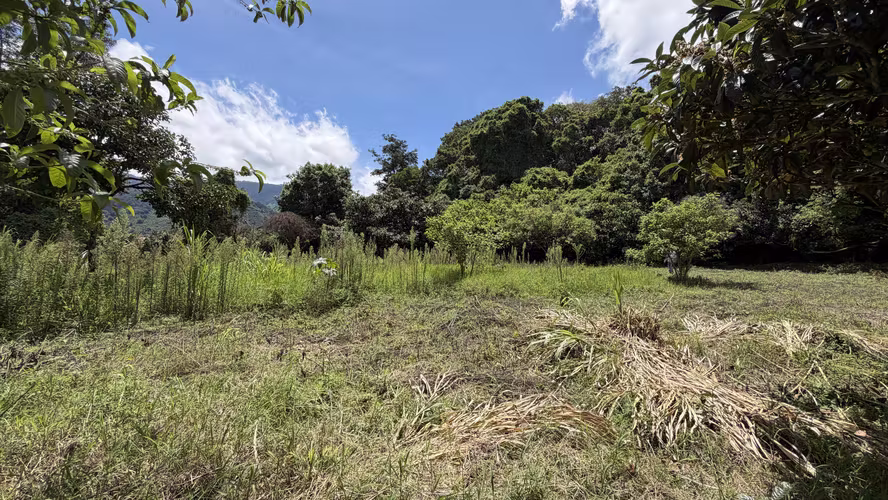 Venta de Terreno en Santa María de Dota (7,705 m²): Naturaleza y Bienestar - Imagen 5
