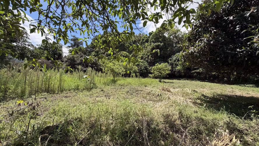 Venta de Terreno en Santa María de Dota (7,705 m²): Naturaleza y Bienestar - Imagen 2