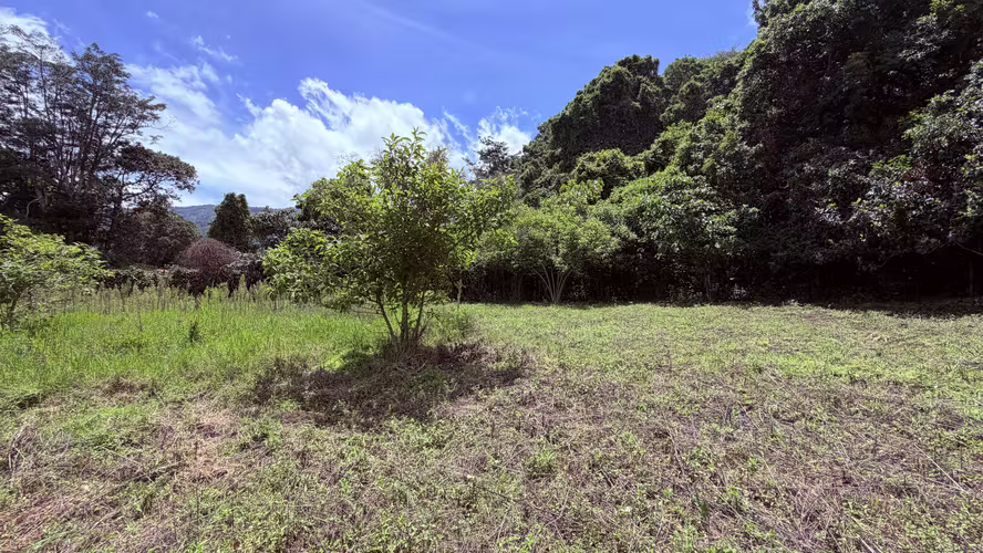 Venta de Terreno en Santa María de Dota (7,705 m²): Naturaleza y Bienestar - Imagen 8