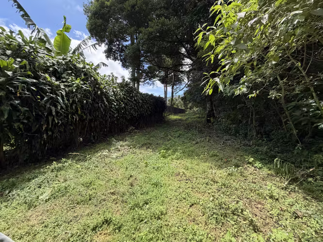 Venta de Terreno en Santa María de Dota (7,705 m²): Naturaleza y Bienestar - Imagen 13