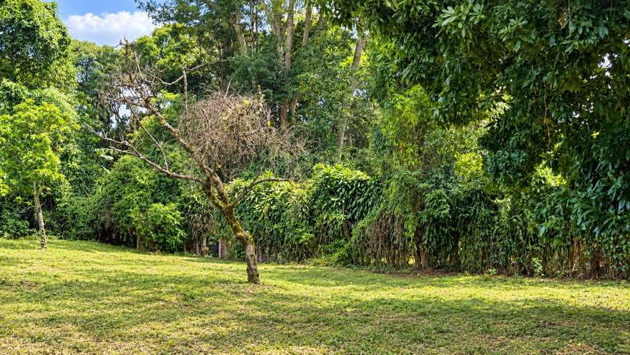 Venta | Terreno con potencial para viviendas de retiro o cohousing | Santa María de Dota