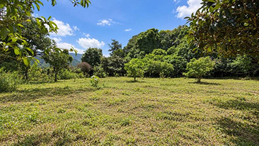 Venta | Terreno con potencial para viviendas de retiro o cohousing | Santa María de Dota