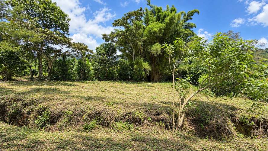 Venta | Terreno con potencial para viviendas de retiro o cohousing | Santa María de Dota
