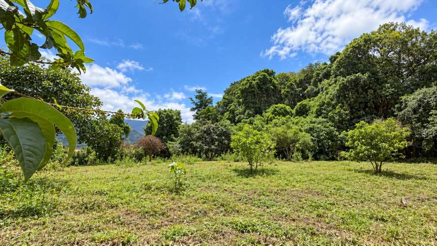 Venta | Terreno con potencial para viviendas de retiro o cohousing | Santa María de Dota