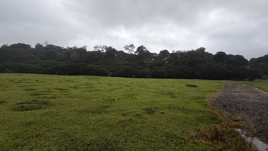 Venta de Finca Agroindustrial de Alta Plusvalía (63 ha) en Pococí, Limón - Imagen 11