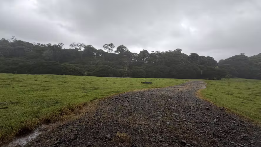 Venta de Finca Agroindustrial de Alta Plusvalía (63 ha) en Pococí, Limón - Imagen 9