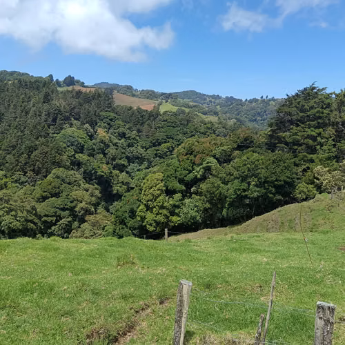 Venta finca Palmira, Zarcero
