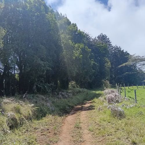 Venta finca Palmira, Zarcero