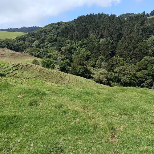 Venta finca Palmira, Zarcero