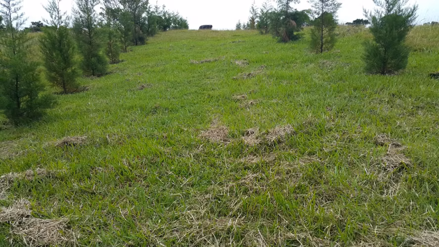 Terrenos con la mejor vista de todo SJ!!