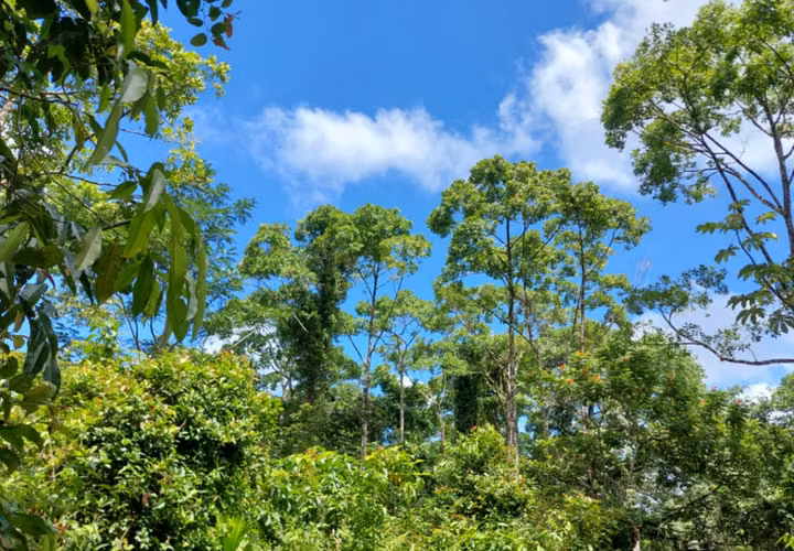 Exclusive Mountain View Estate in Bijagual, Costa Rica