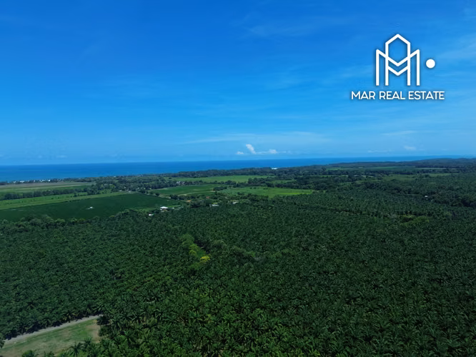 Lote En Venta En Parrita | Cerca De Las Mejores Playas Del Pacífico Central - Imagen 9