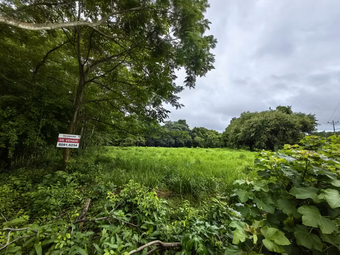 Lote de Uso Mixto en La Ceiba de Orotina | Ubicación Estratégica y Alto Potencial de Inversión