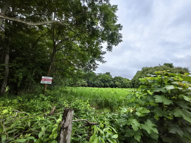 Lote de Uso Mixto en La Ceiba de Orotina | Ubicación Estratégica y Alto Potencial de Inversión