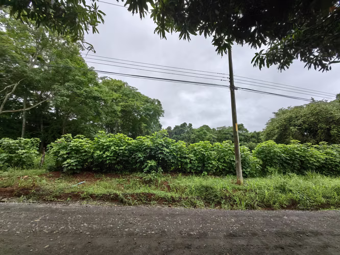Lote de Uso Mixto en La Ceiba de Orotina | Ubicación Estratégica y Alto Potencial de Inversión