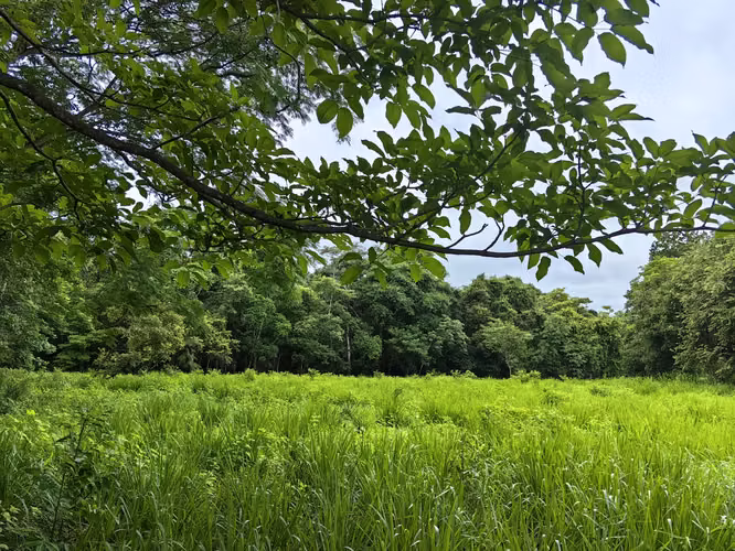Lote de Uso Mixto en La Ceiba de Orotina | Ubicación Estratégica y Alto Potencial de Inversión