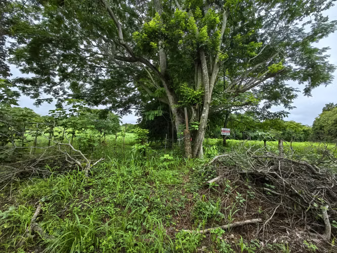 Lote de Uso Mixto en La Ceiba de Orotina | Ubicación Estratégica y Alto Potencial de Inversión
