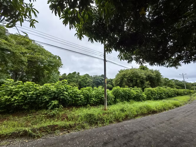 Lote de Uso Mixto en La Ceiba de Orotina | Ubicación Estratégica y Alto Potencial de Inversión