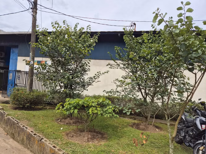 BODEGA EN ALQUILER EN OCHOMOGO, CARTAGO | 500m² | ZONA INDUSTRIAL 3 | 6 METROS DE ALTURA - Imagen 13