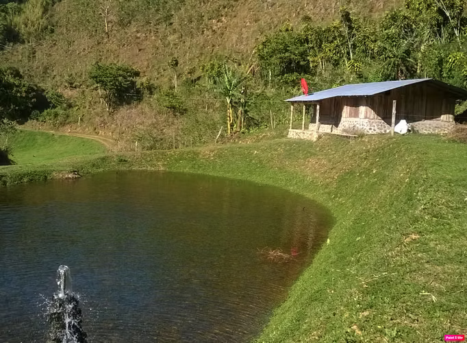Hermosa finca en Río Jesús de San Ramón – Naturaleza, inversión y tranquilidad en un solo lugar