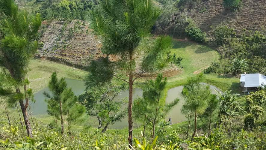  Hermosa finca en Río Jesús de San Ramón – Naturaleza, inversión y tranquilidad en un solo lugar  - Imagen 2