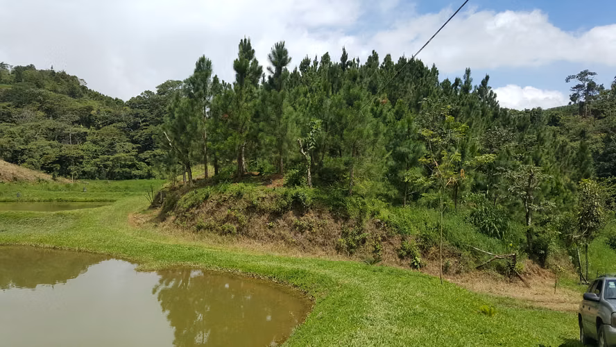  Hermosa finca en Río Jesús de San Ramón – Naturaleza, inversión y tranquilidad en un solo lugar  - Imagen 3