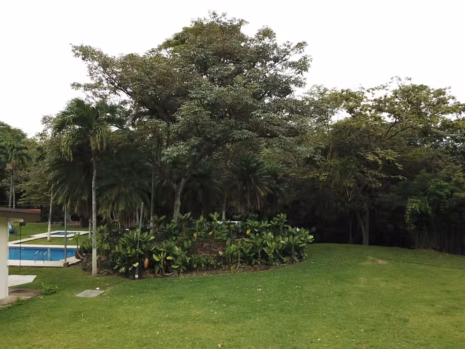 SE ALQUILA HERMOSA PROPIEDAD EN CIRUELAS ALAJUELA - Imagen 4