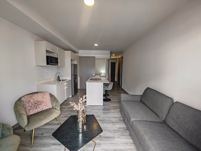 Apartamento de 1 Habitación Full Amueblado en Alquiler- Nunciatura - Imagen 6