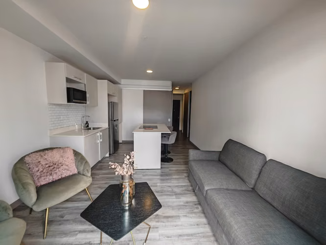 Apartamento de 1 Habitación Full Amueblado en Alquiler- Nunciatura - Imagen 8