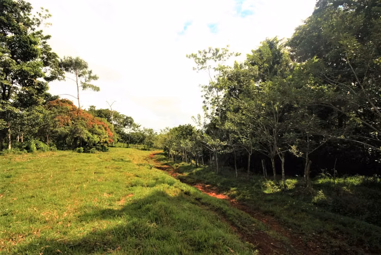 Inversión Agropecuaria de 102 Ha | 2,6 km de Frente a Carretera | Zona Norte ( GP 1307 2)