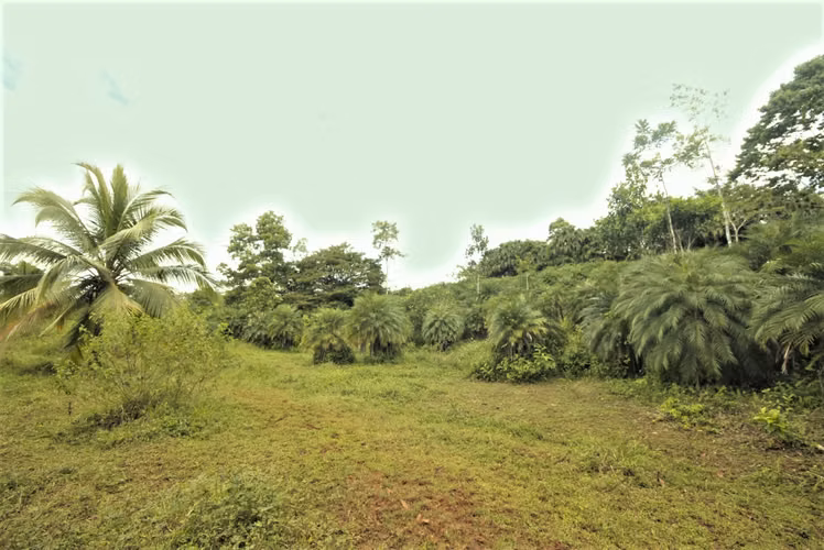 Inversión Agropecuaria de 102 Ha | 2,6 km de Frente a Carretera | Zona Norte ( GP 1307 2)