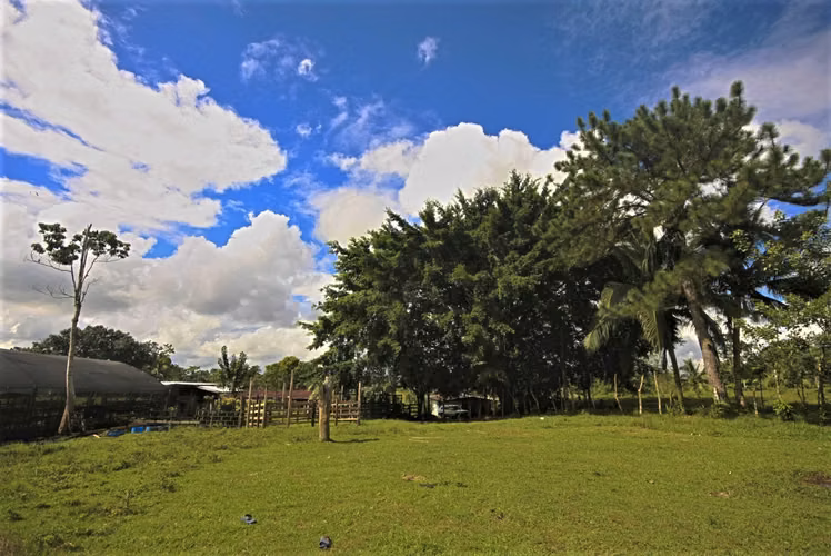 Inversión Agropecuaria de 102 Ha | 2,6 km de Frente a Carretera | Zona Norte ( GP 1307 2)