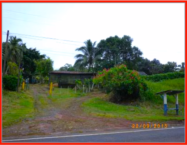 Inversión Agropecuaria de 102 Ha | 2,6 km de Frente a Carretera | Zona Norte ( GP 1307 2)