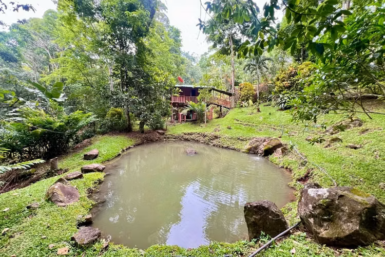 Finca recreativa de 4 ha en Puriscal con lago y 2 cabañas - Imagen 5