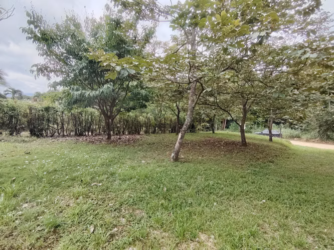 Venta de lote 2715 m2 en Pérez Zeledón - Imagen 10
