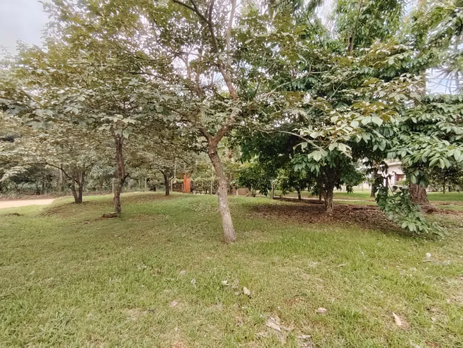 Venta de lote 2715 m2 en Pérez Zeledón - Imagen 9