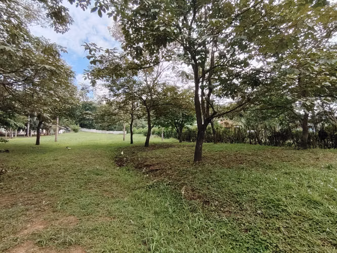 Venta de lote 2715 m2 en Pérez Zeledón - Imagen 3