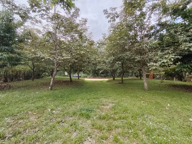 Venta de lote 2715 m2 en Pérez Zeledón - Imagen 11