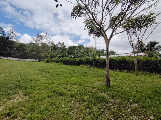 Venta de lote 2715 m2 en Pérez Zeledón - Imagen 7