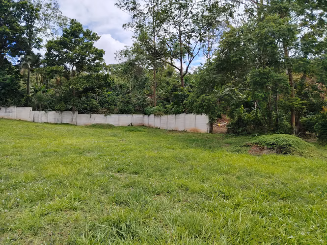 Venta de lote 2715 m2 en Pérez Zeledón - Imagen 13